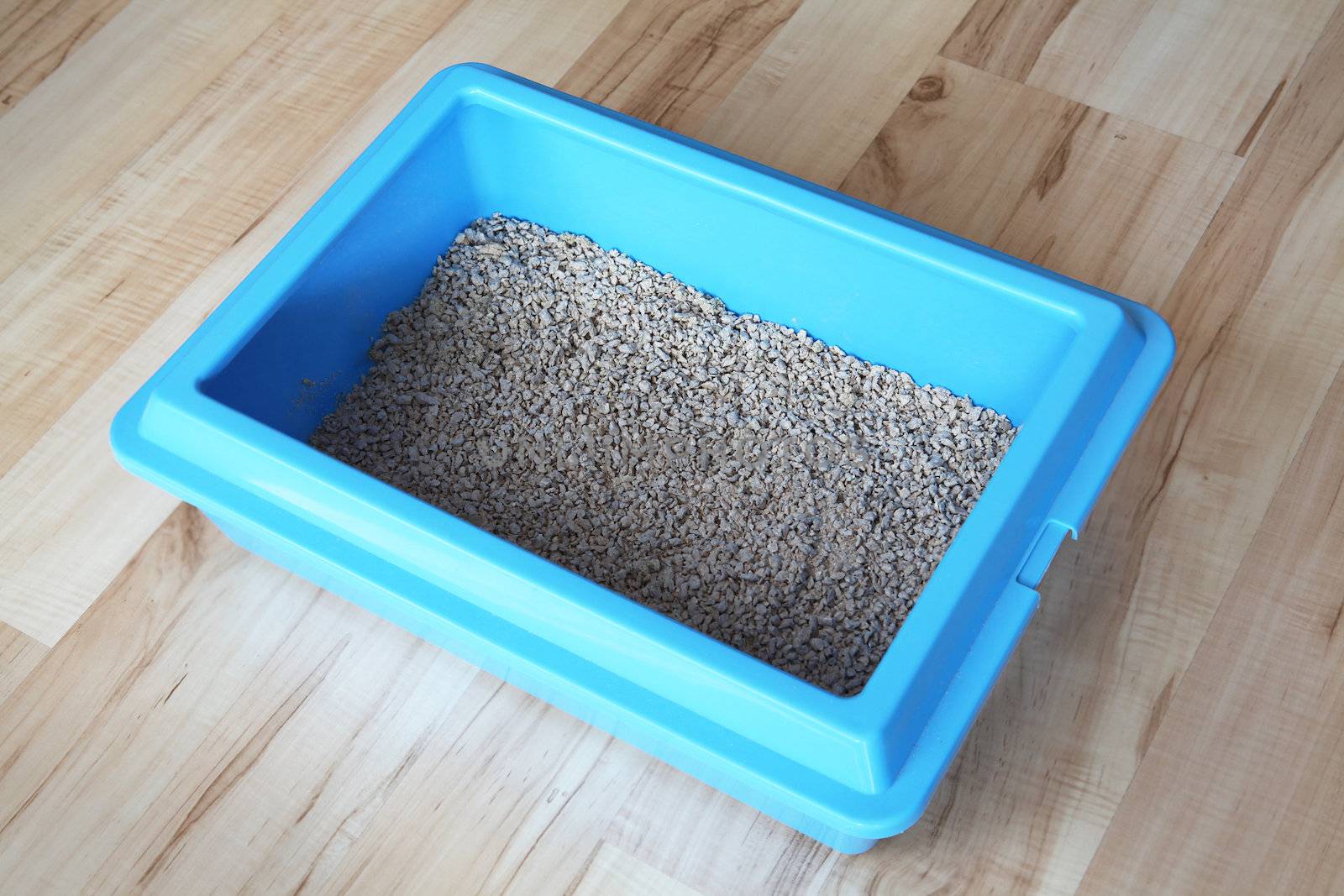 Blue cat litter box