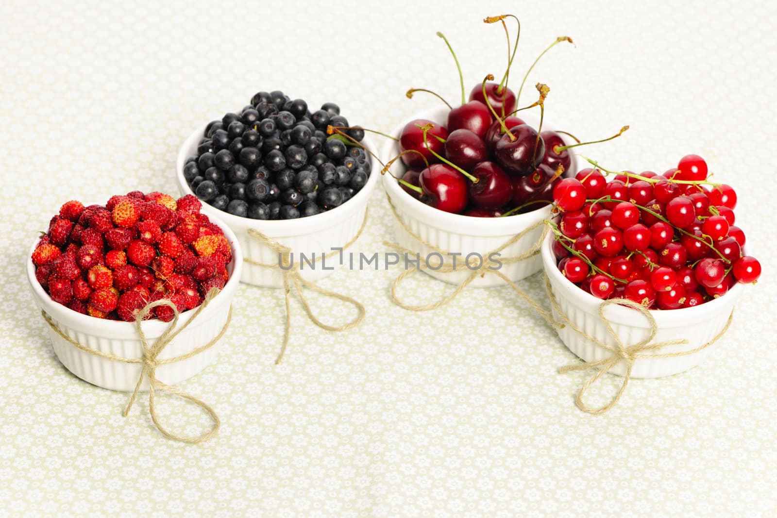 Wild berries in bowls - blueberry, redcurrant, cherry, strawberry