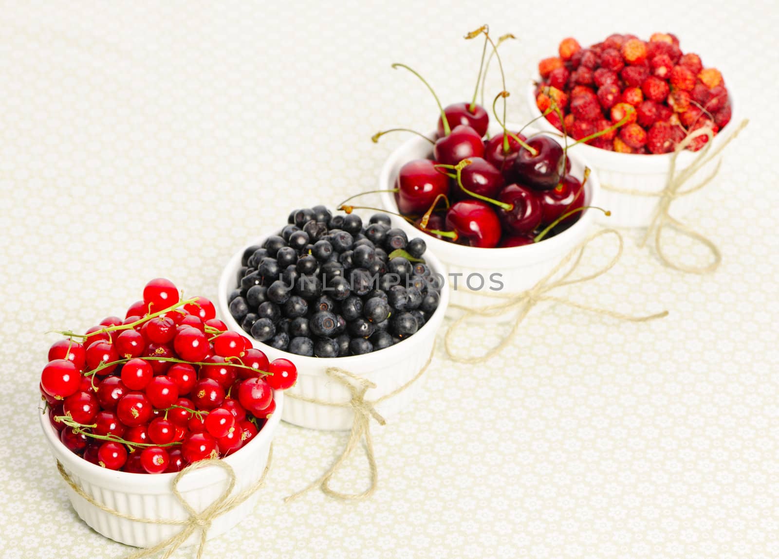 Wild berries in bowls - blueberry, redcurrant, cherry, strawberry