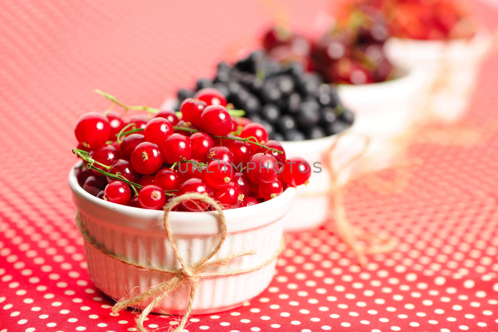 Wild berries in bowls - blueberry, redcurrant, cherry, strawberry