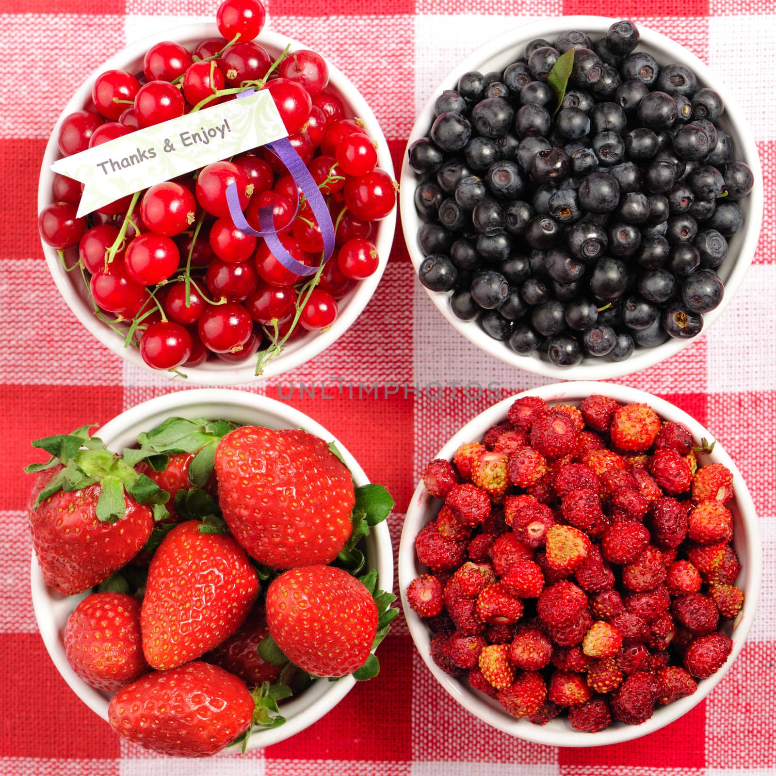 Wild berries in bowls - blueberry, redcurrant, strawberry