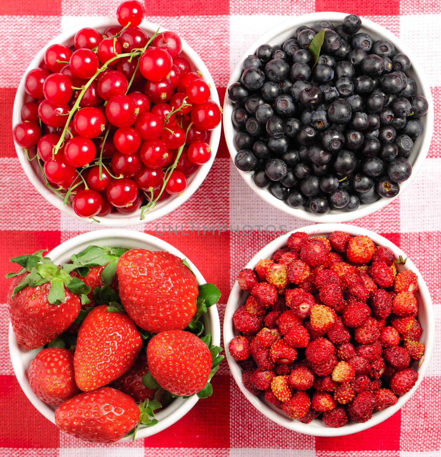 Wild berries in bowls - blueberry, redcurrant, strawberry