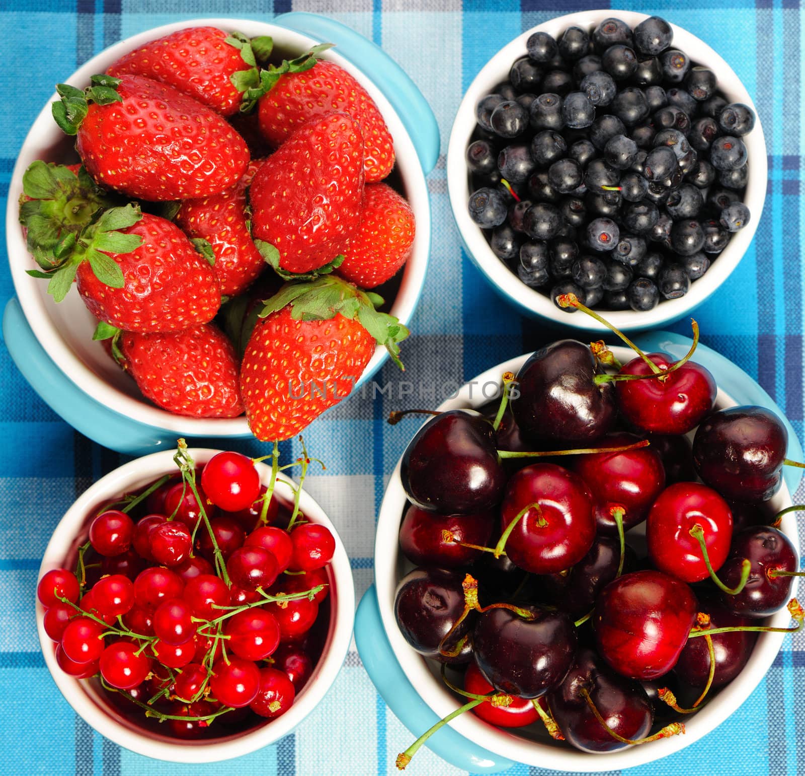 Wild berries in bowls - blueberry, redcurrant, cherry, strawberry