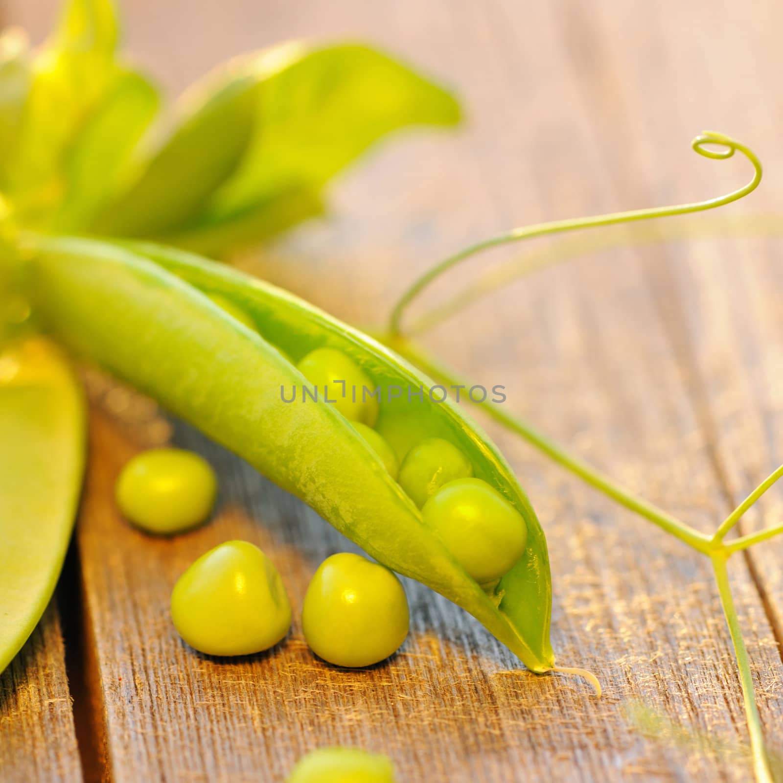 Fresh peas pods on a wooden table by haveseen