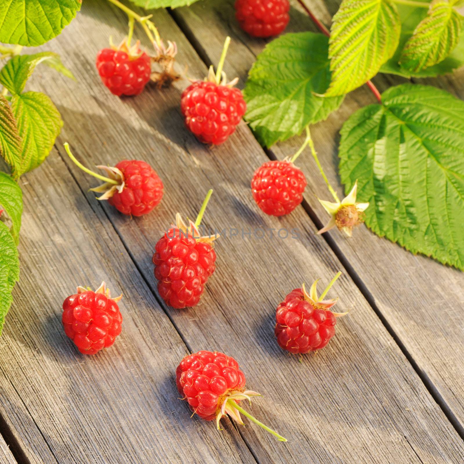 Raspberry on wooden table by haveseen