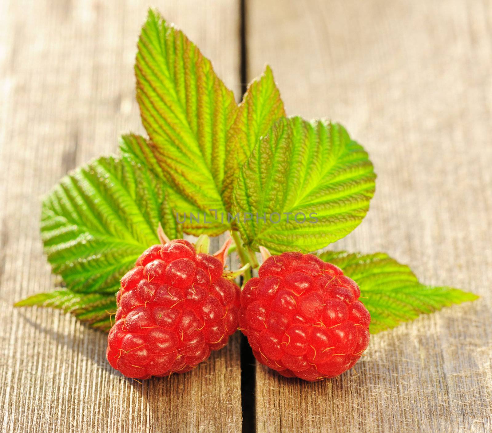Raspberry with leafs on wooden table