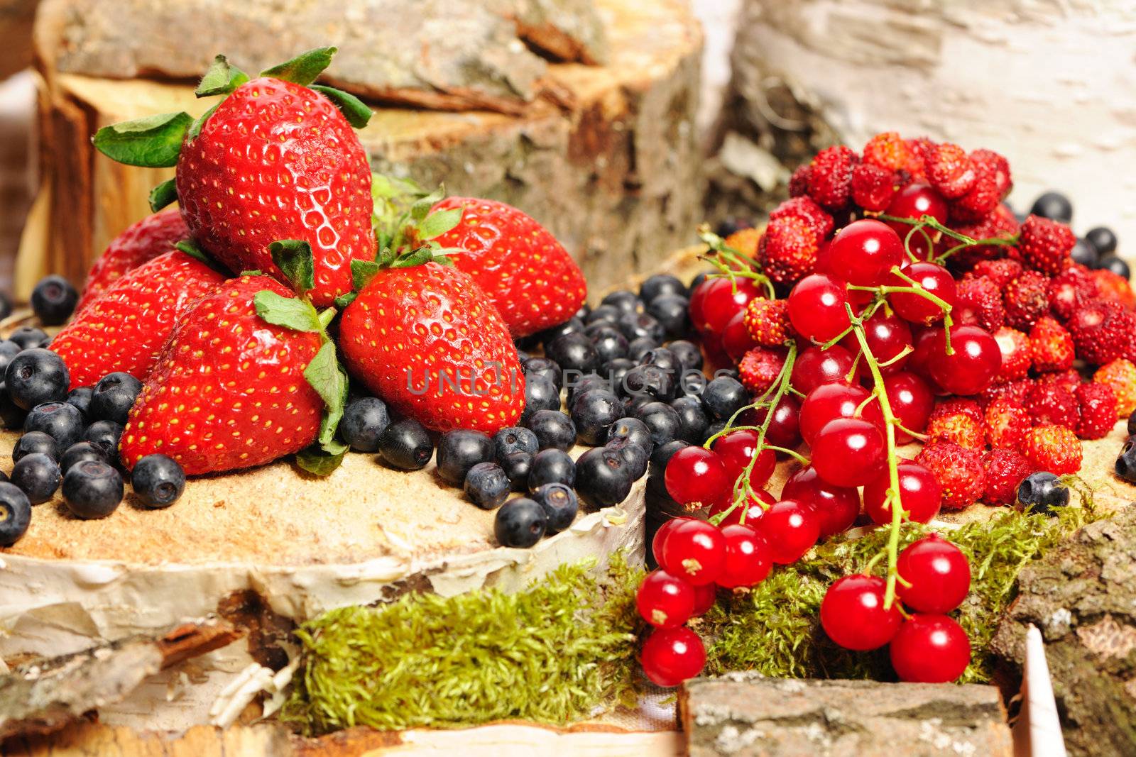 Wild berries - blueberry, redcurrant, strawberry