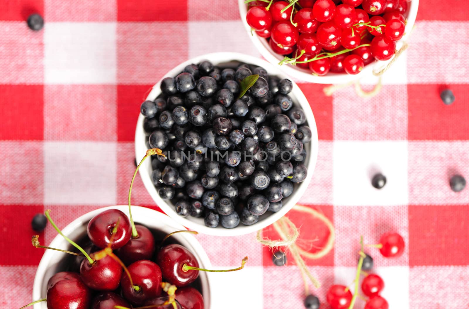 Wild berries in bowls - blueberry, redcurrant, cherry