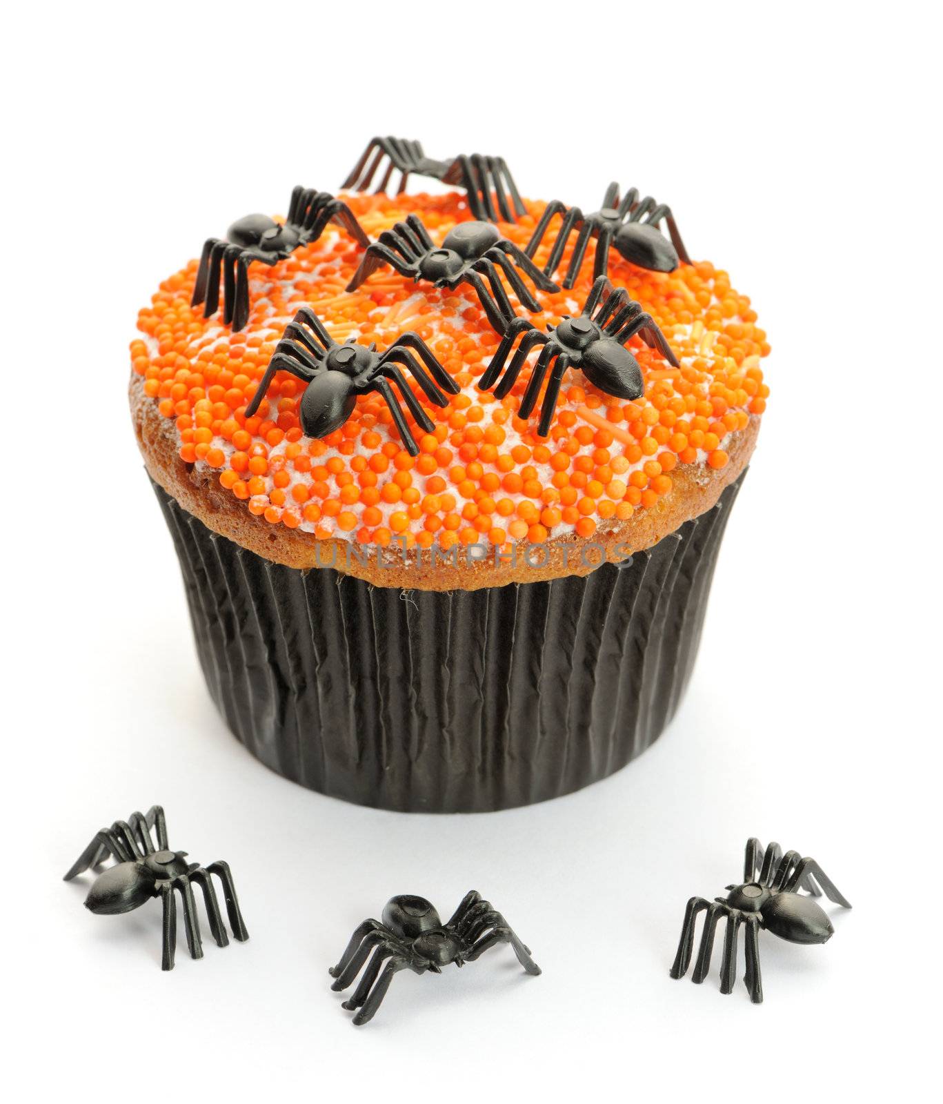 Halloween cupcake with decoration isolated on white