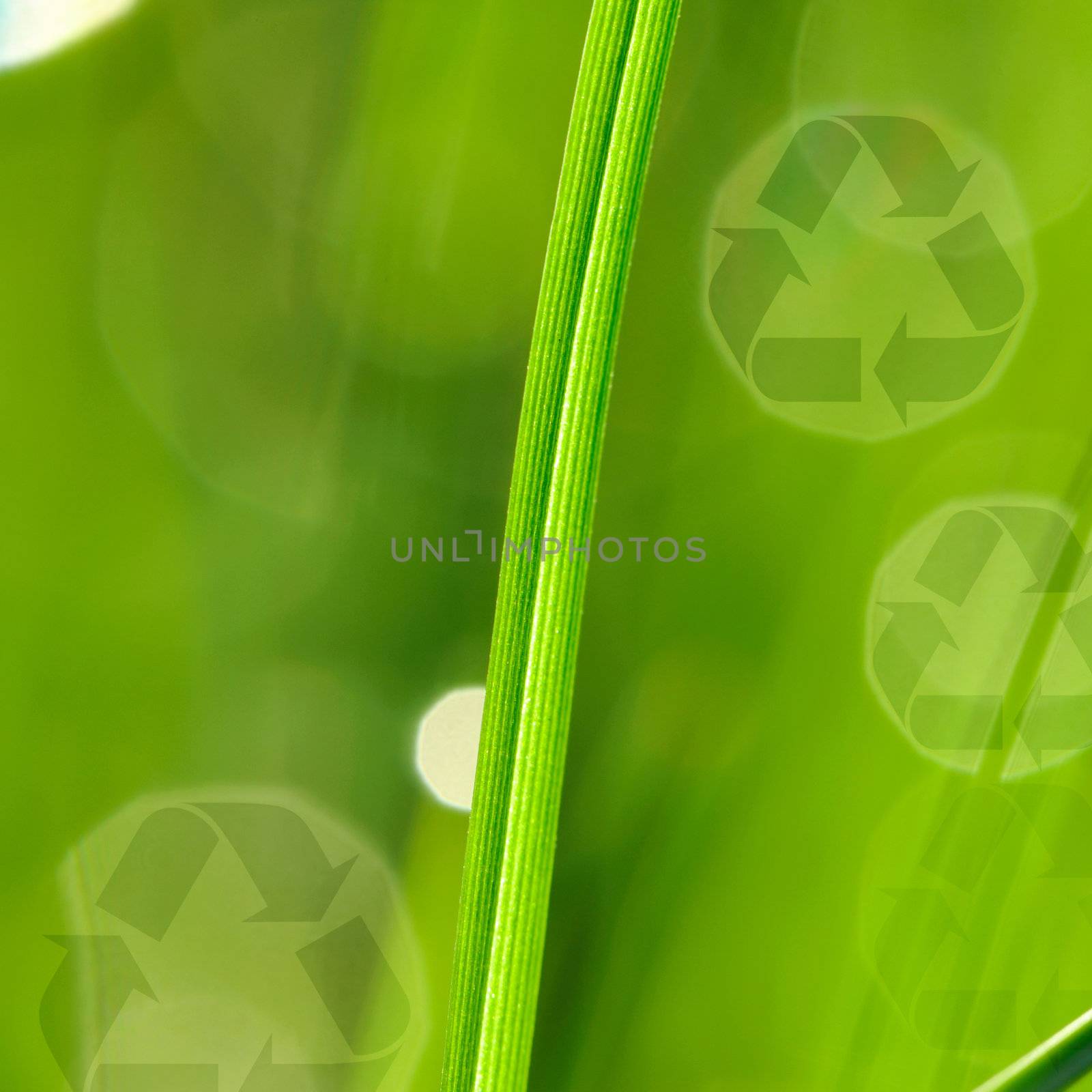 Morning grass and recycle logo by haveseen