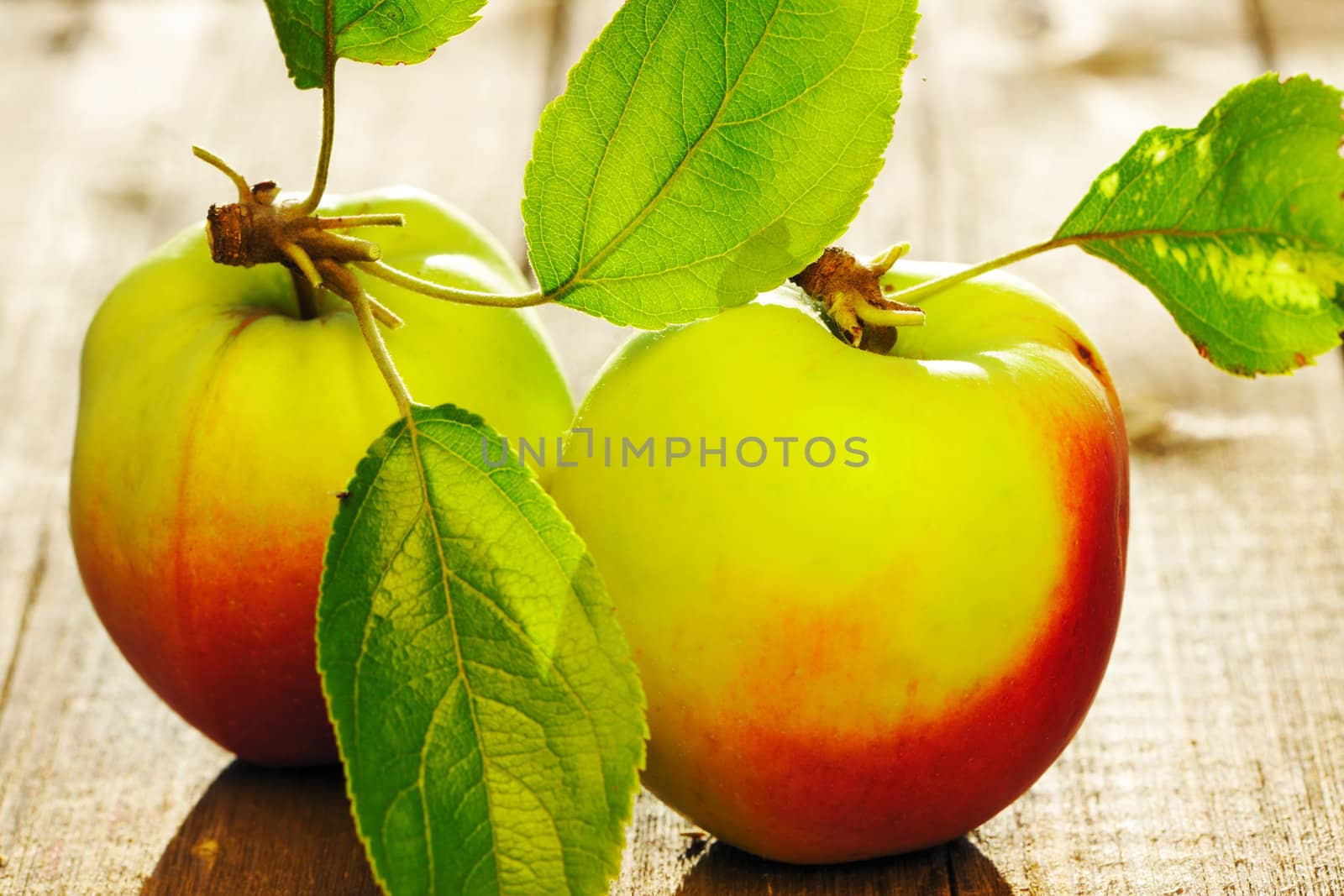 Fresh apples with leaves on wooden table
