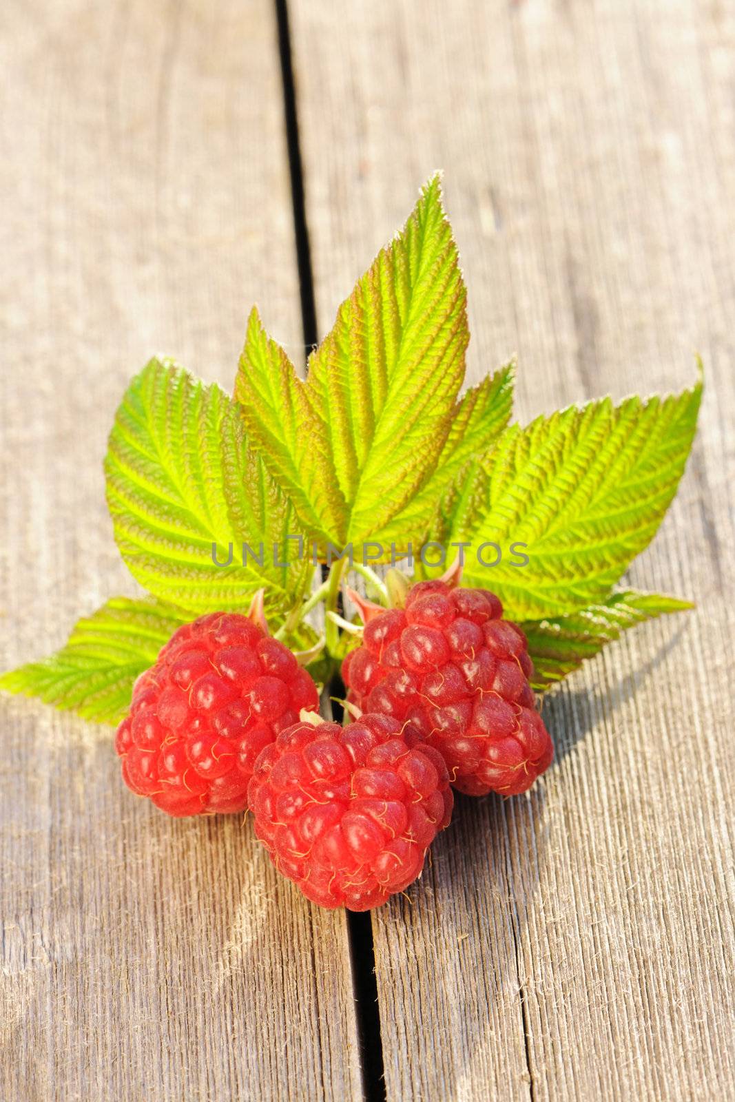 Raspberry with leafs on wooden table