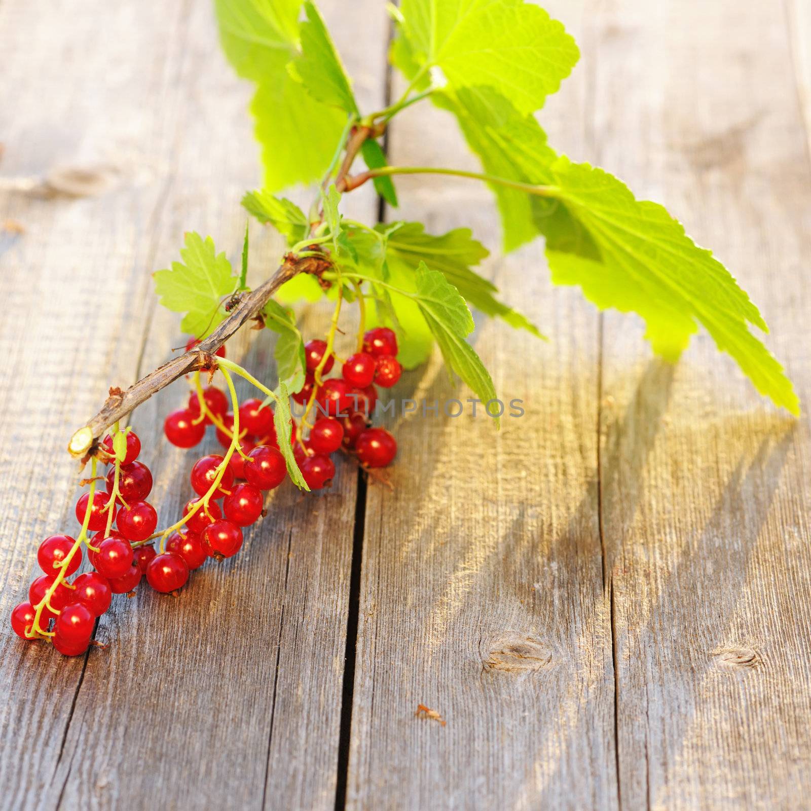 Redcurrant with leafs on wooden table