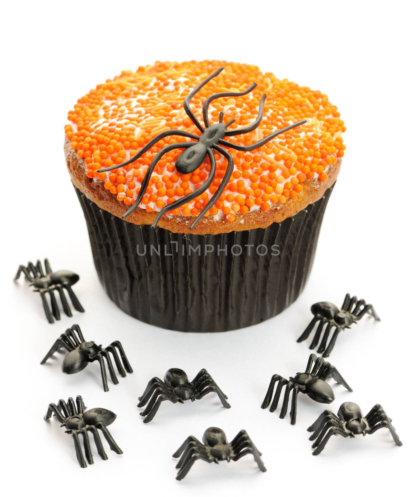 Halloween cupcake with decoration isolated on white