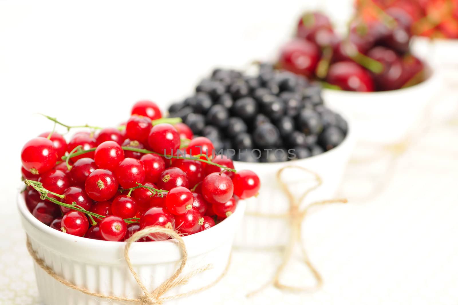 Wild berries in bowls - blueberry, redcurrant, cherry, strawberry