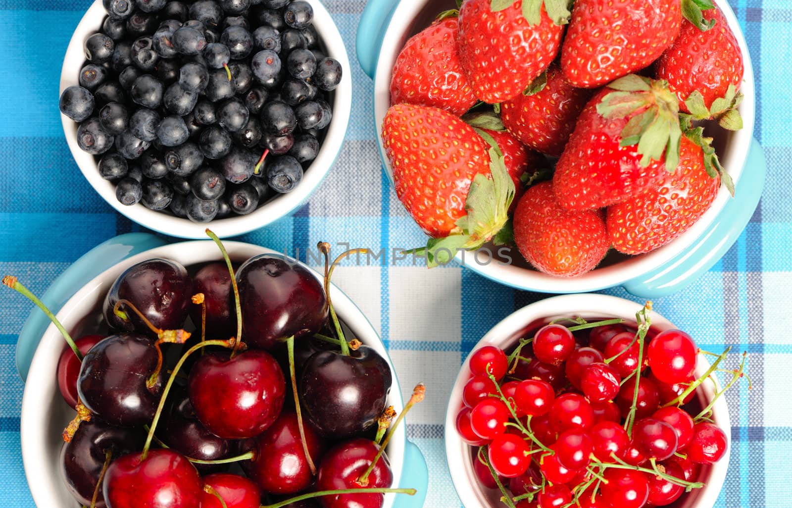 Wild berries in bowls - blueberry, redcurrant, cherry, strawberry
