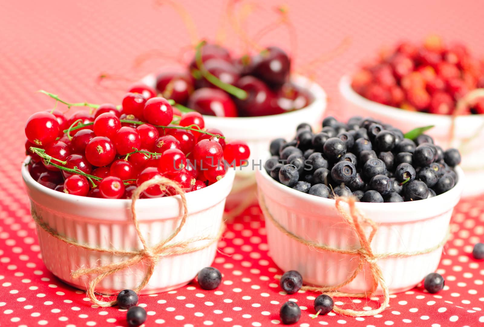 Wild berries in bowls - blueberry, redcurrant, cherry, strawberry
