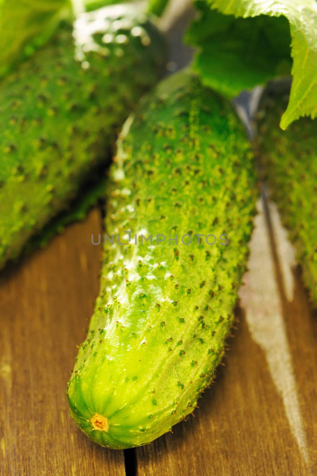 Cucumber on wooden table by haveseen