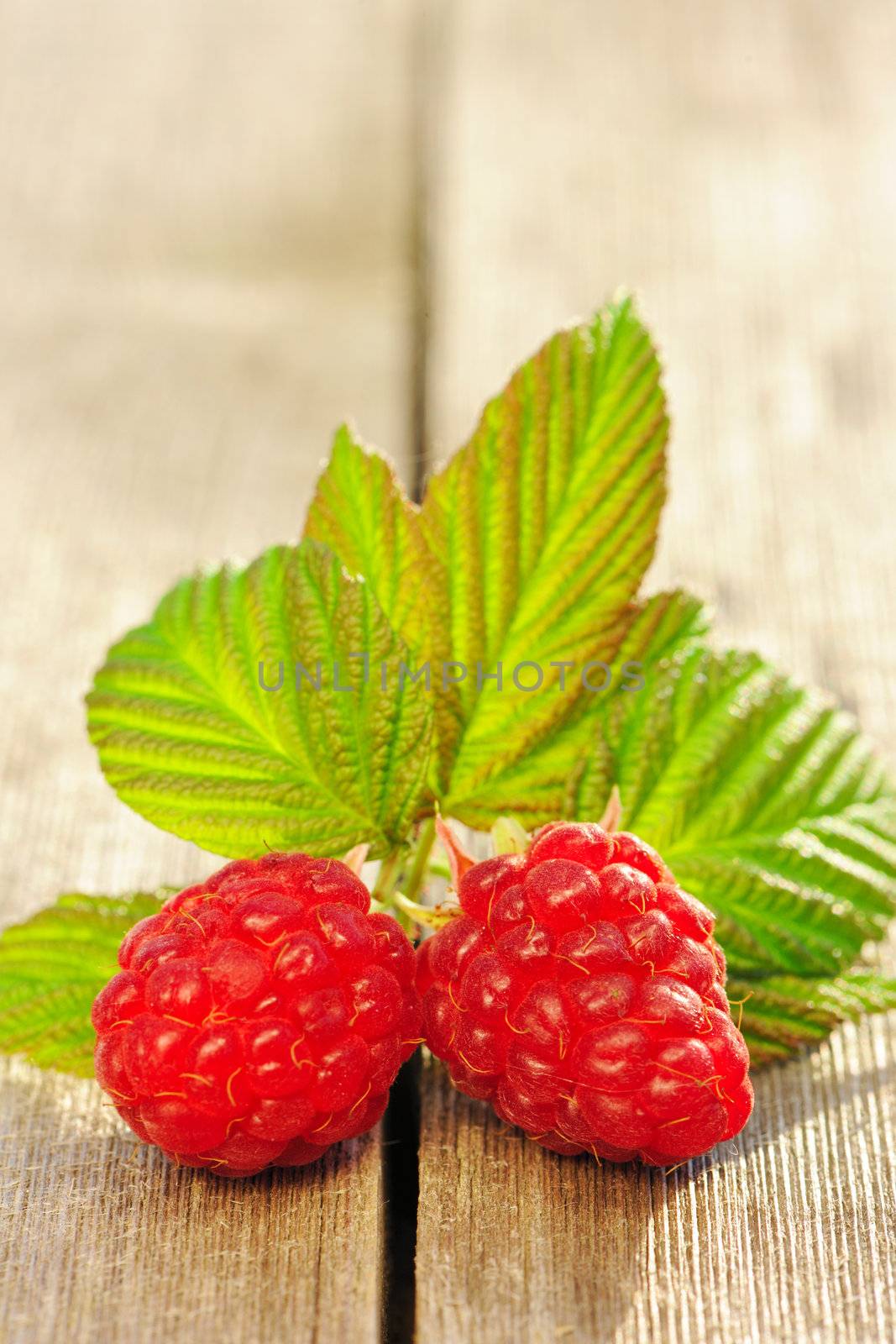 Raspberry with leafs on wooden table