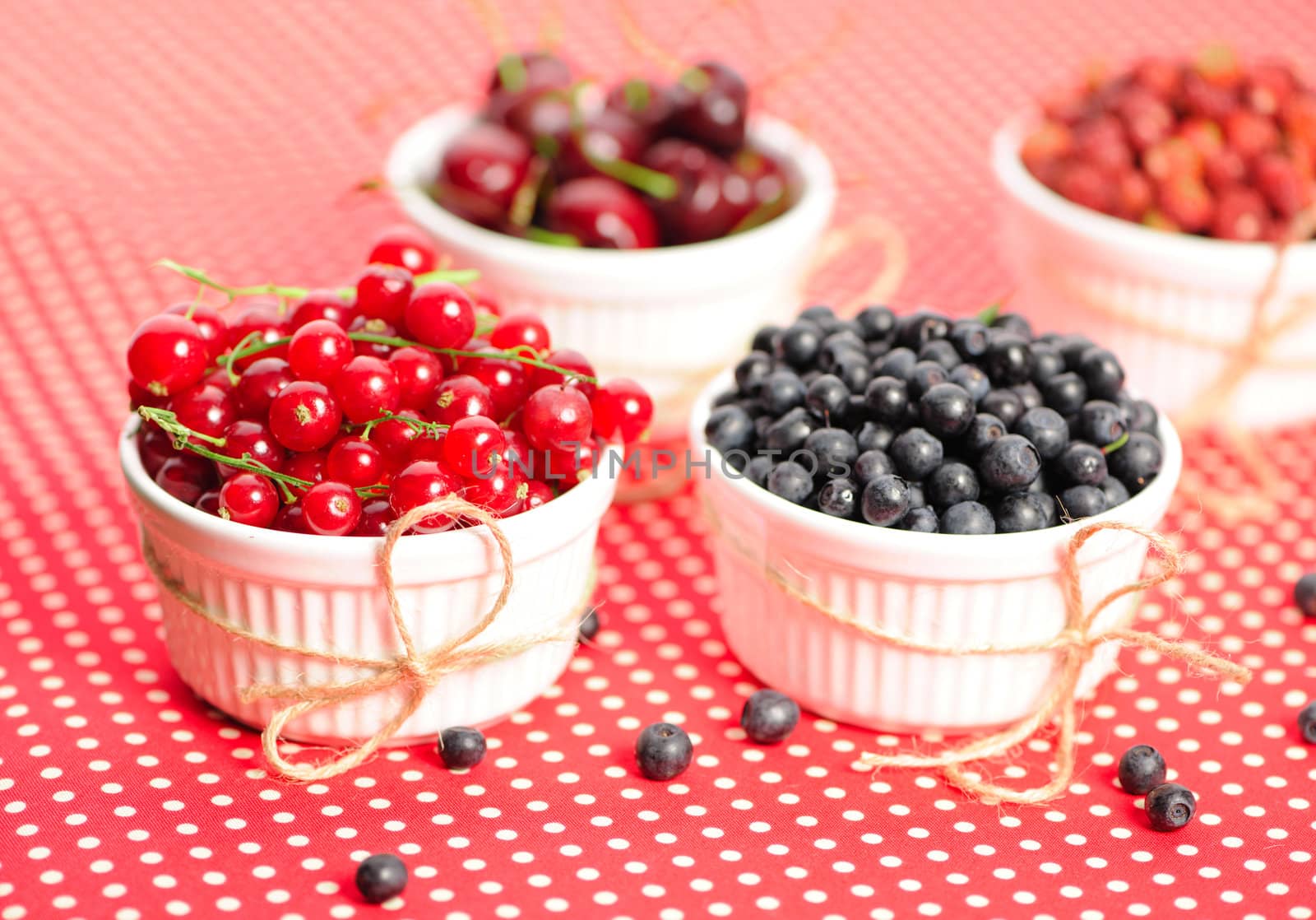 Wild berries in bowls - blueberry, redcurrant, cherry, strawberry