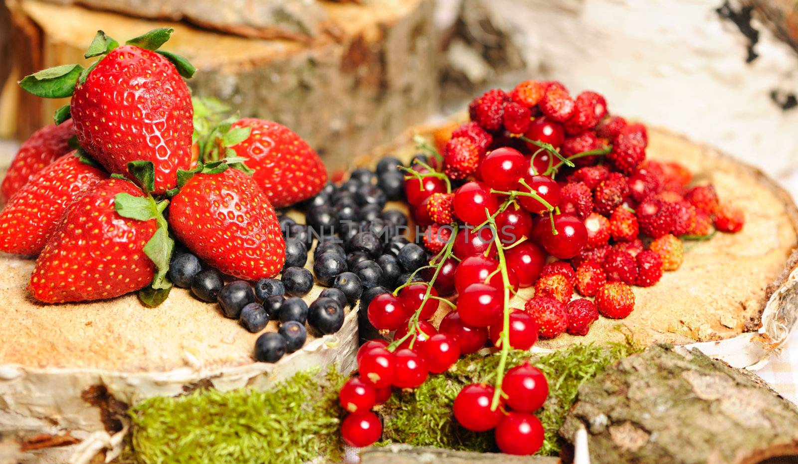 Wild berries - blueberry, redcurrant, strawberry
