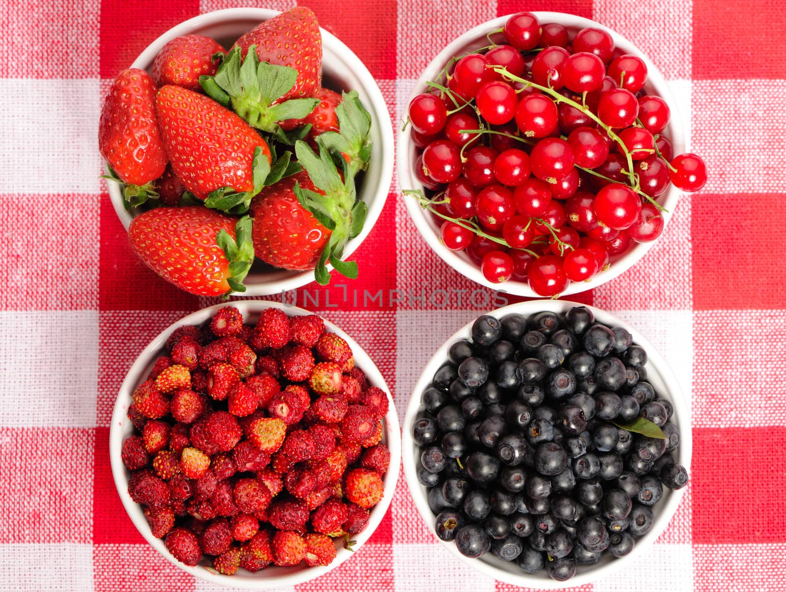 Wild berries in bowls - blueberry, redcurrant, strawberry