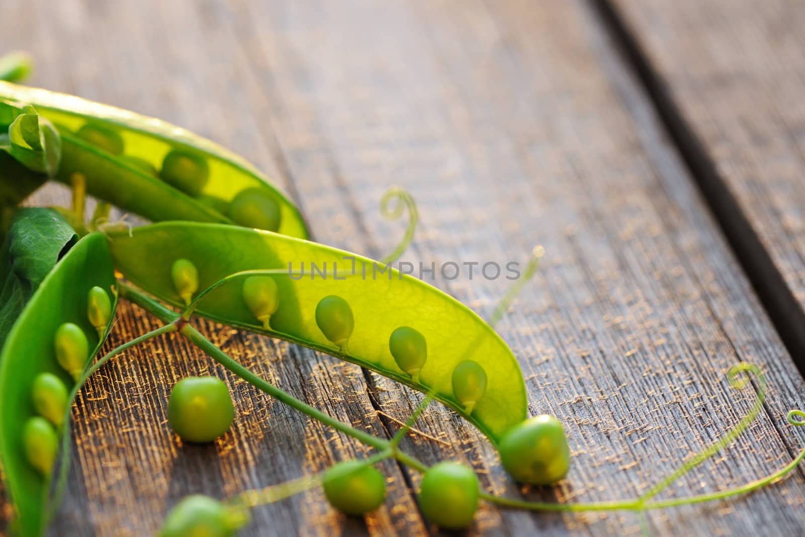 Fresh green peas pods on a wooden table