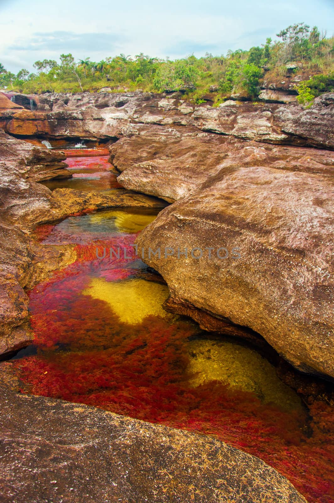 A beautiful red and yellow river in Colombia.