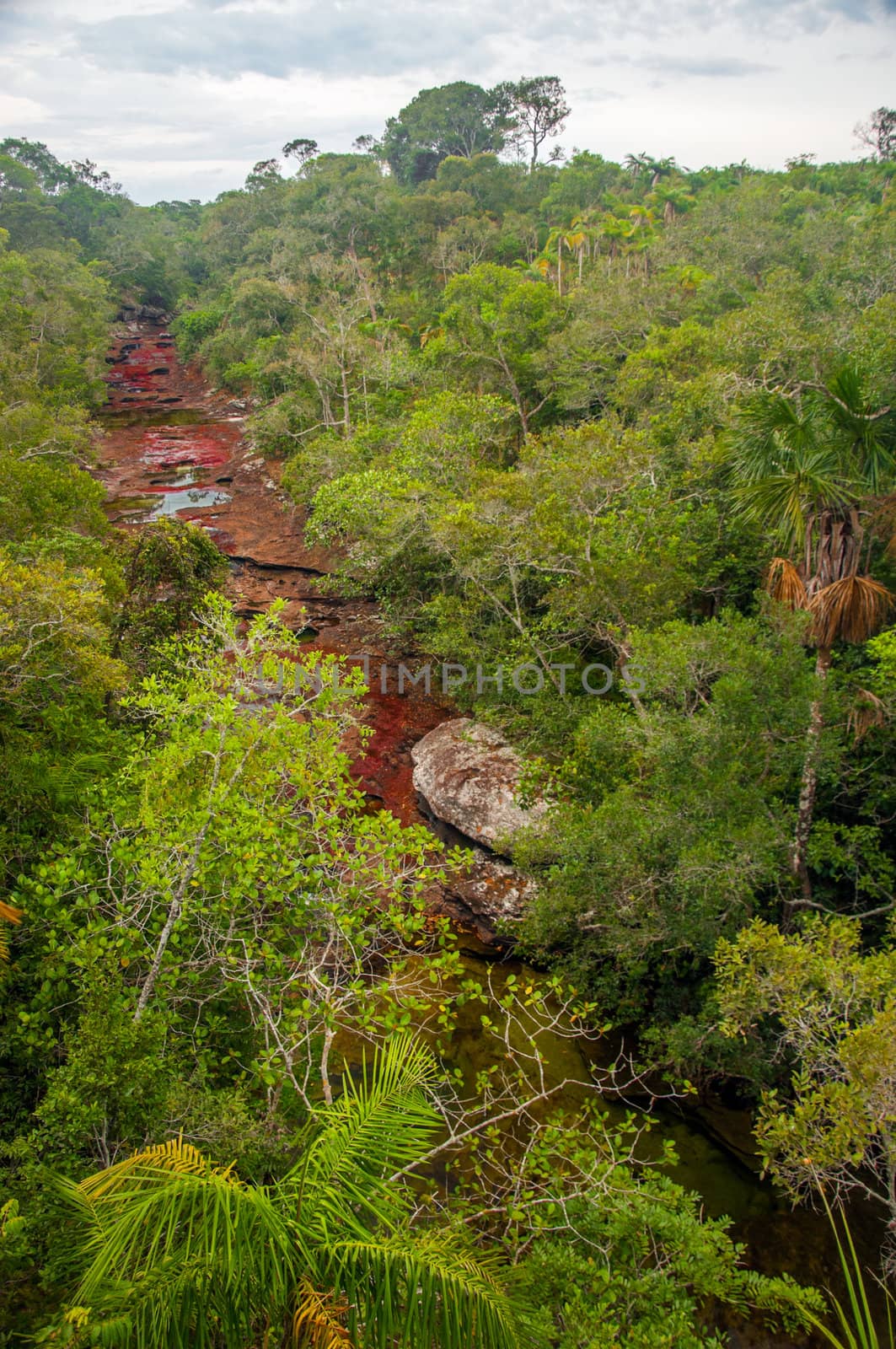 The beautiful colors of Cano Cristales in Colombia.