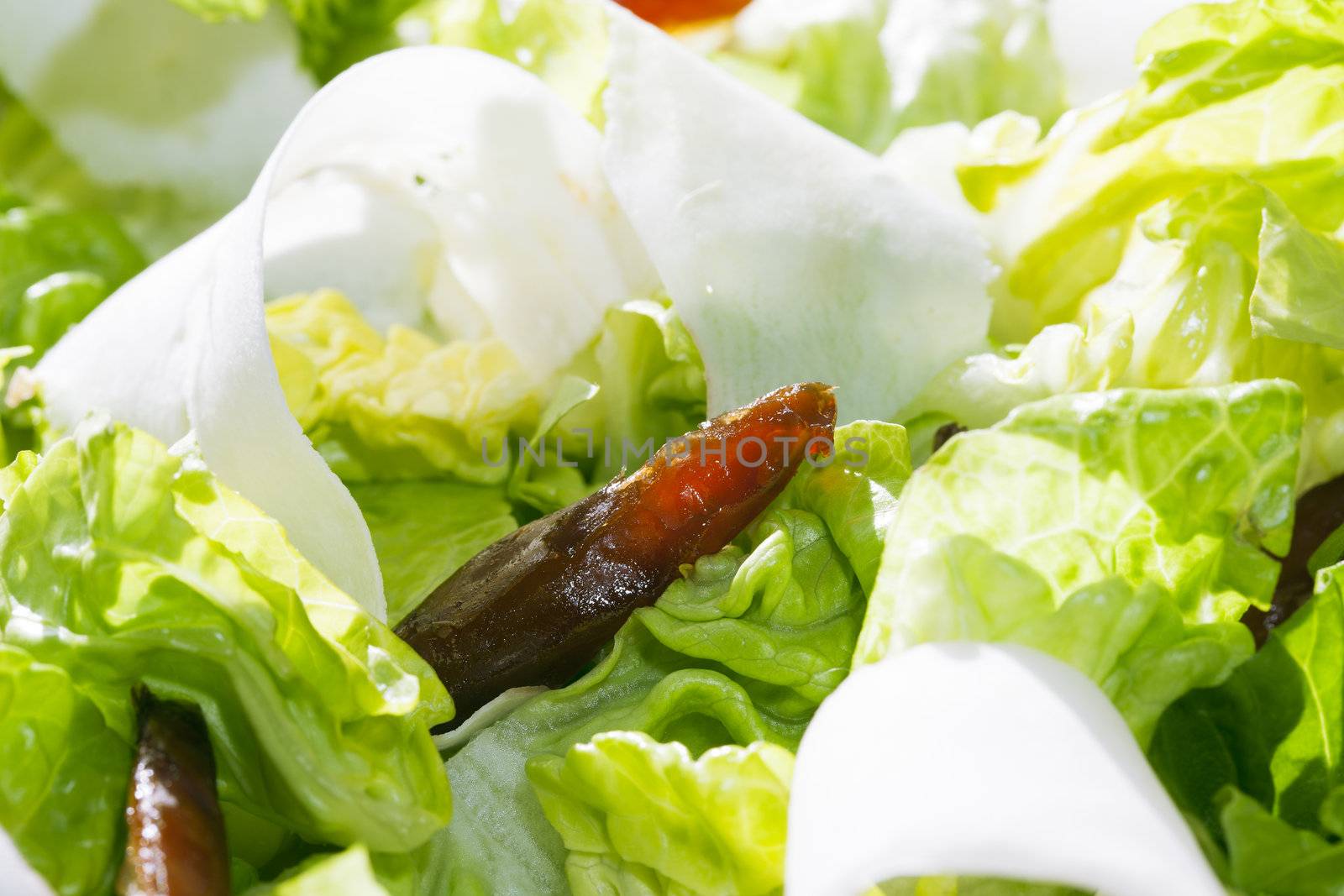 Fresh healthy salad with dates and jicama or parsnip