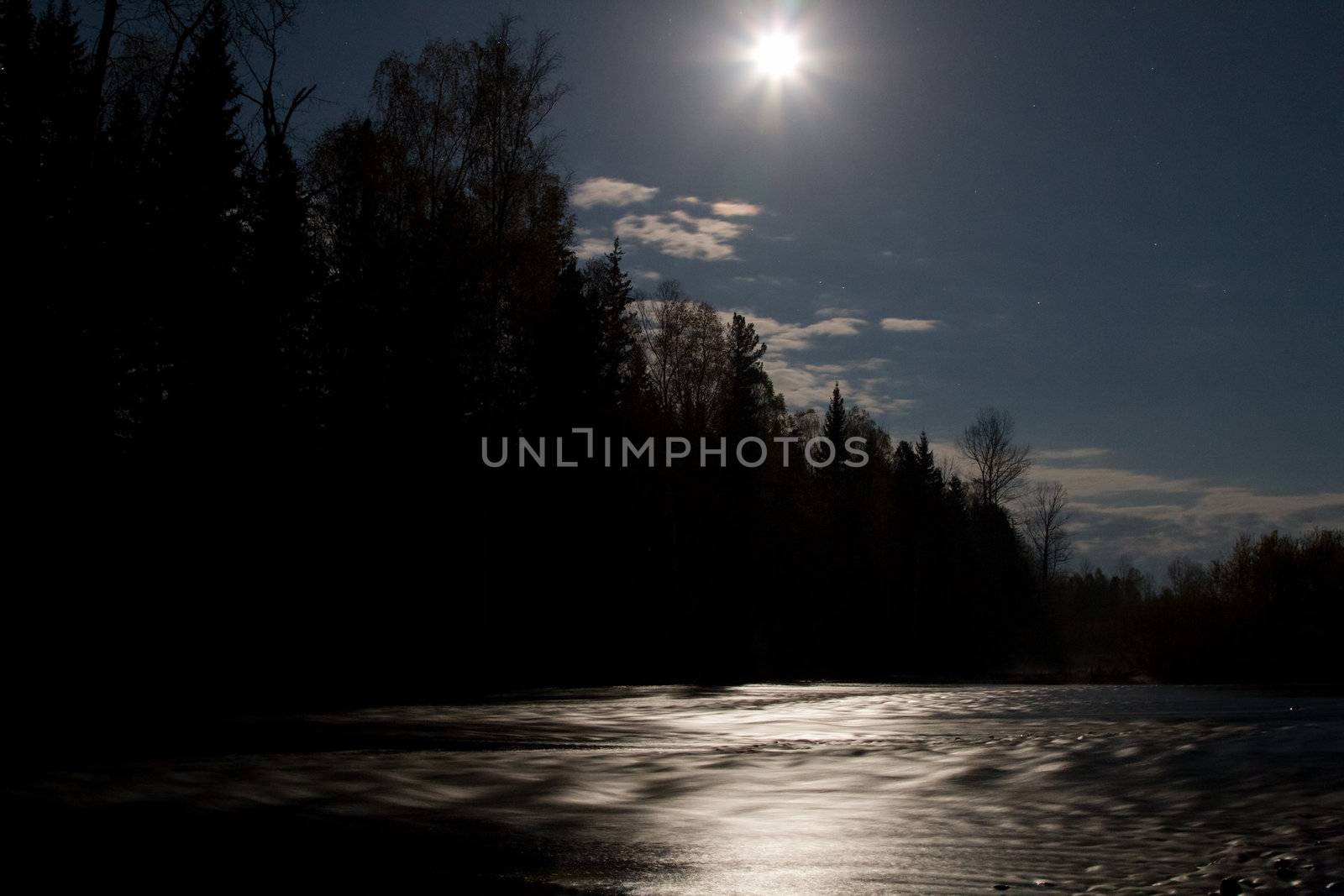 Moonlight night in the forest on the river