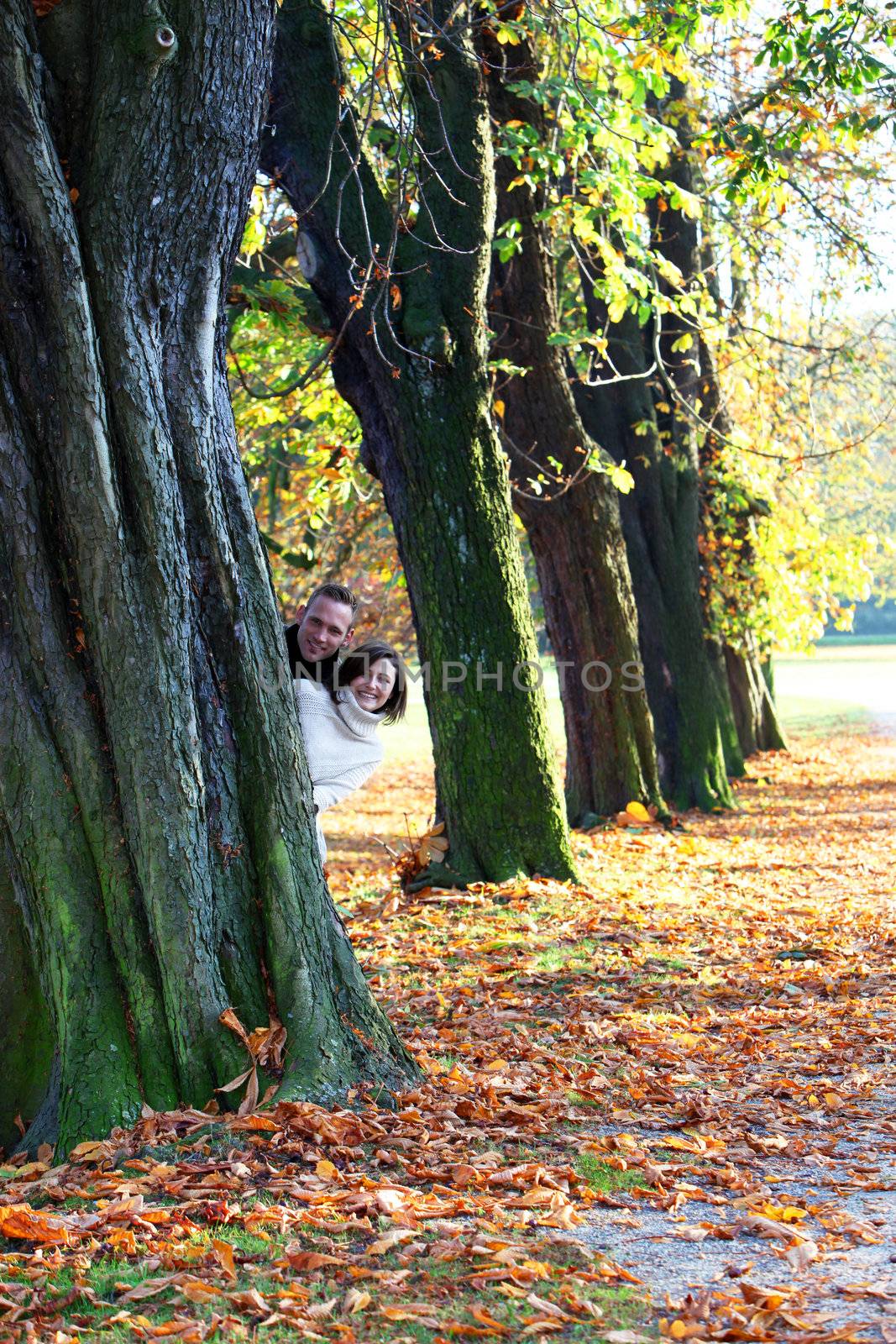Playful young couple peering around the trunk of an autumn tree in a row of trees in a park