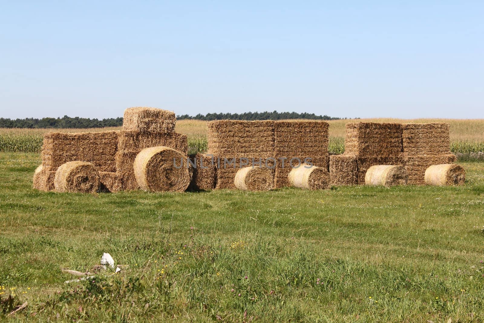 a tractor in a field of straw bales