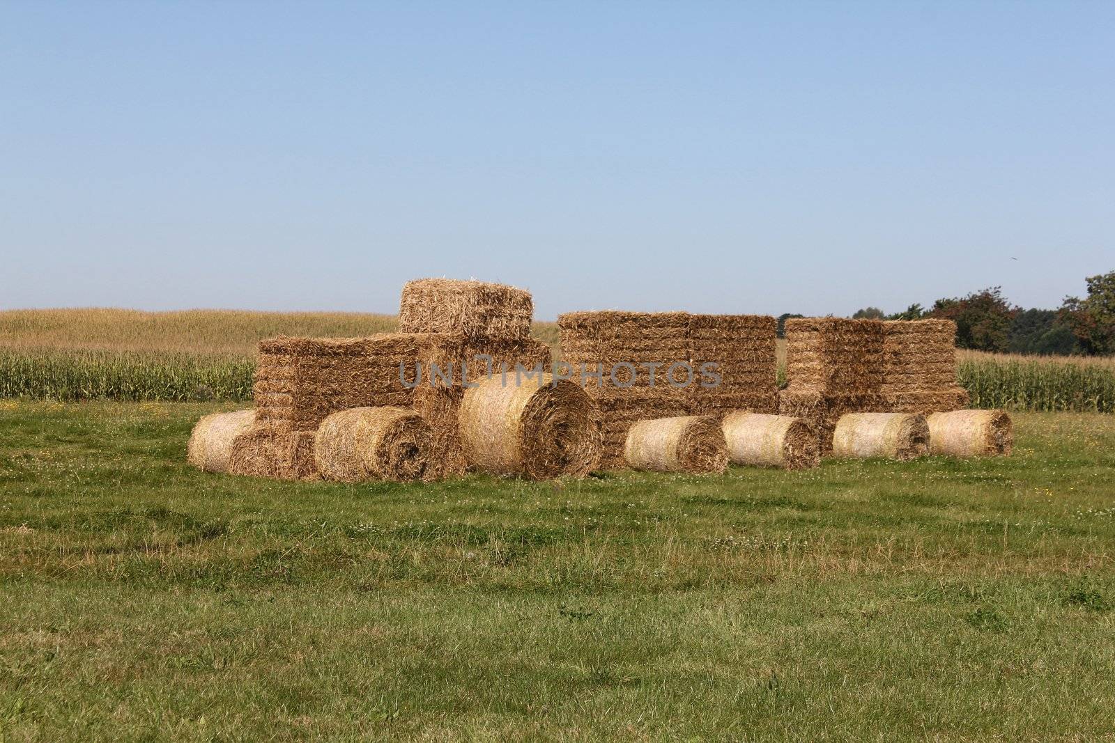 a tractor in a field of straw bales