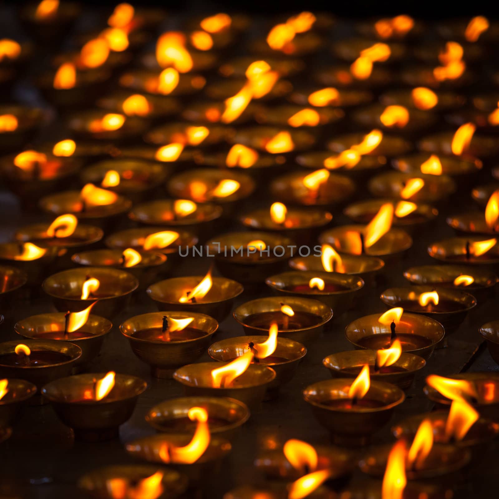 Burning candles in Buddhist temple. McLeod Ganj, Himachal Prades by dimol