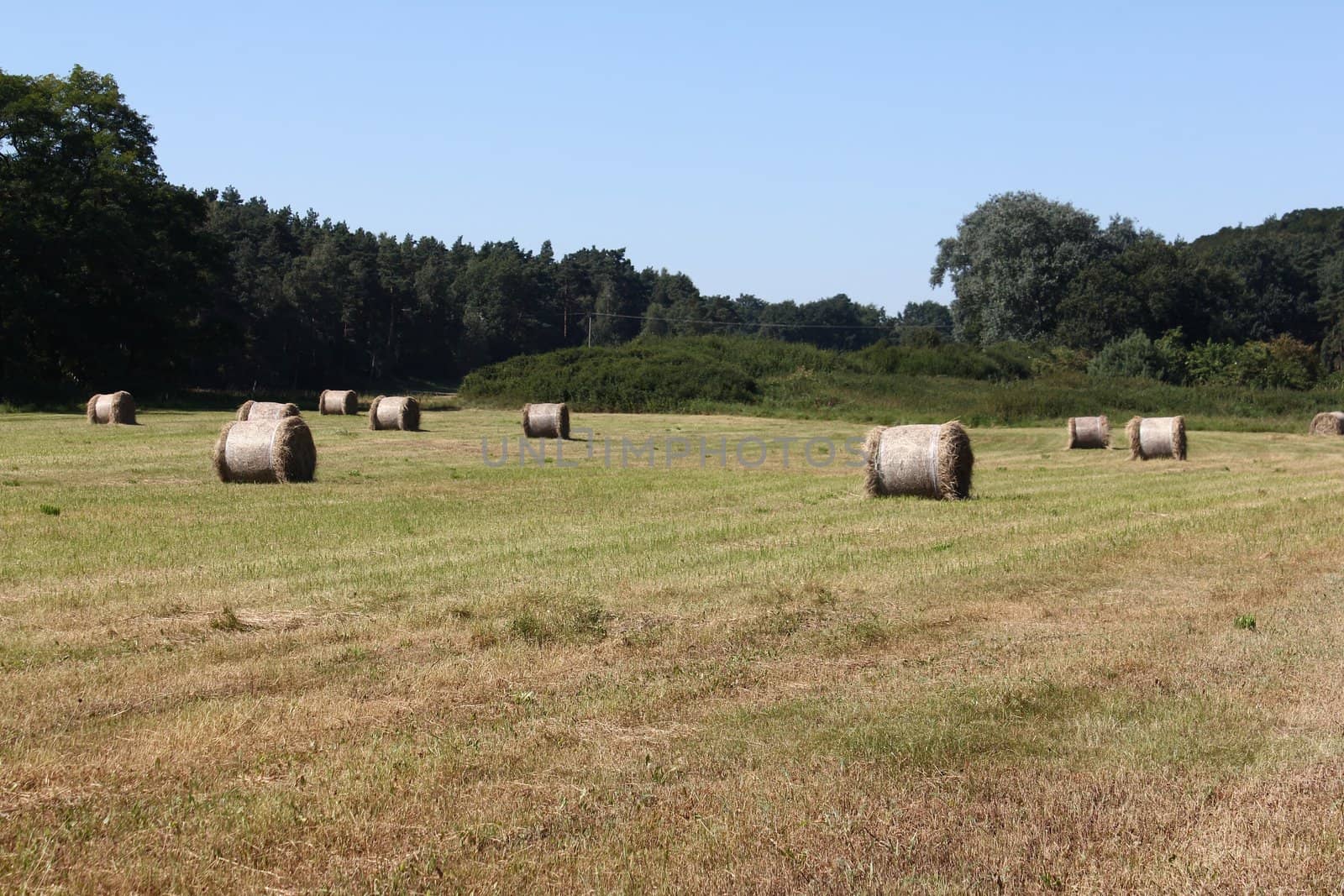 field with hay bales by discovery