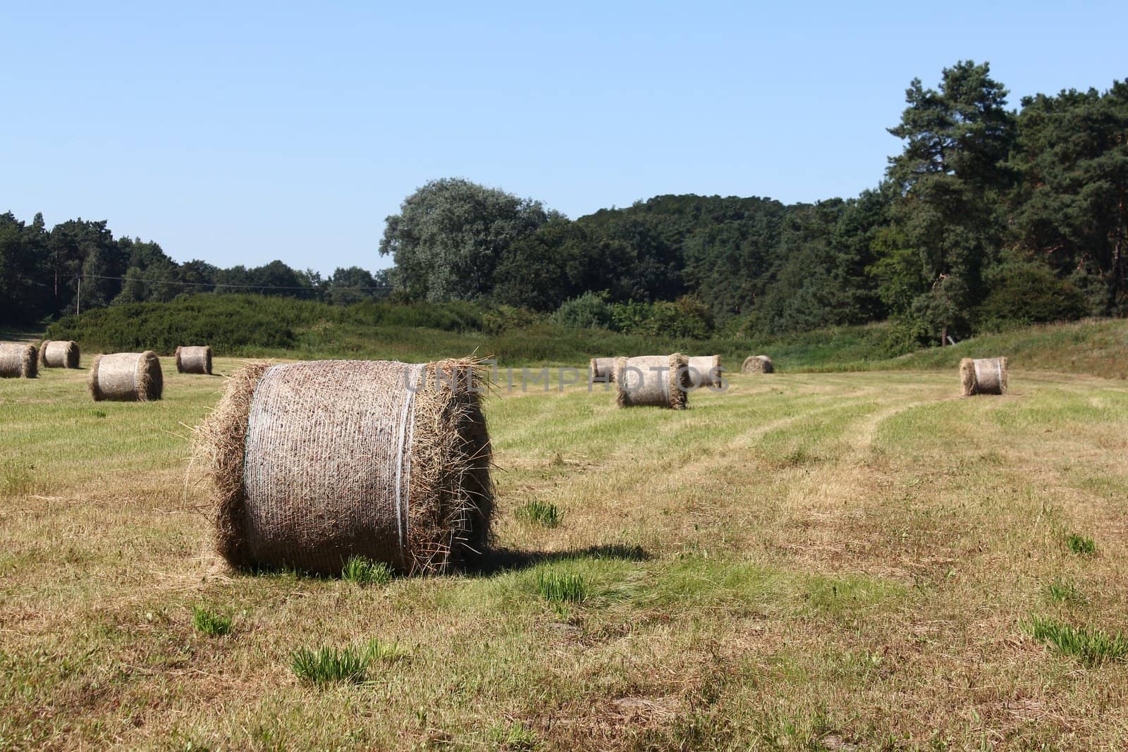 harvested field with straw bales on the edge