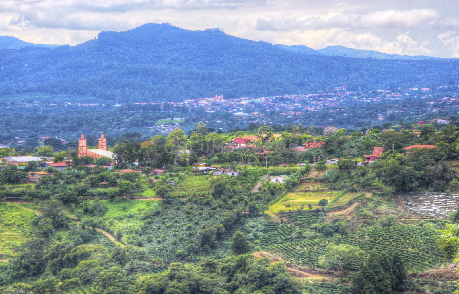Costa Rican landscape featuring coffee fields and a quaint church in the background.