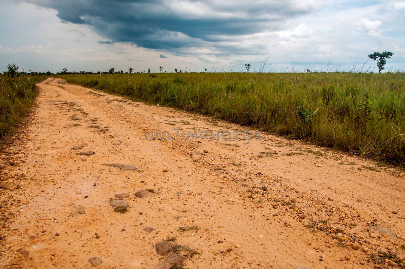A dirt road built by FARC rebels in the Colombian plains