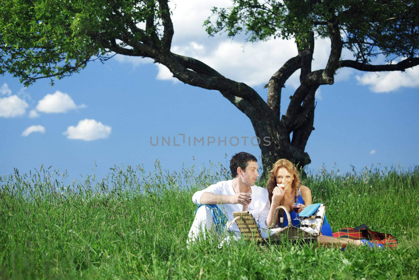 man and woman on picnic in green grass