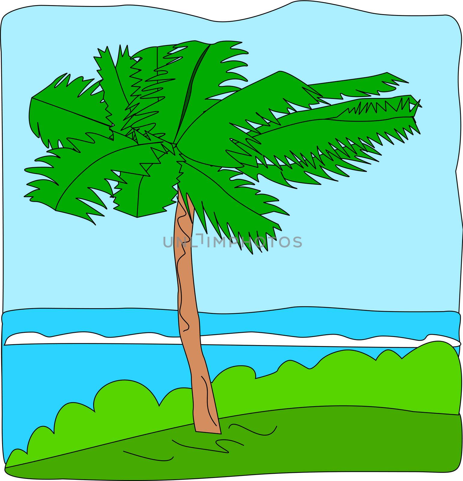 A palm tree blows with the wind, near the coastline, on top of a raised strip.