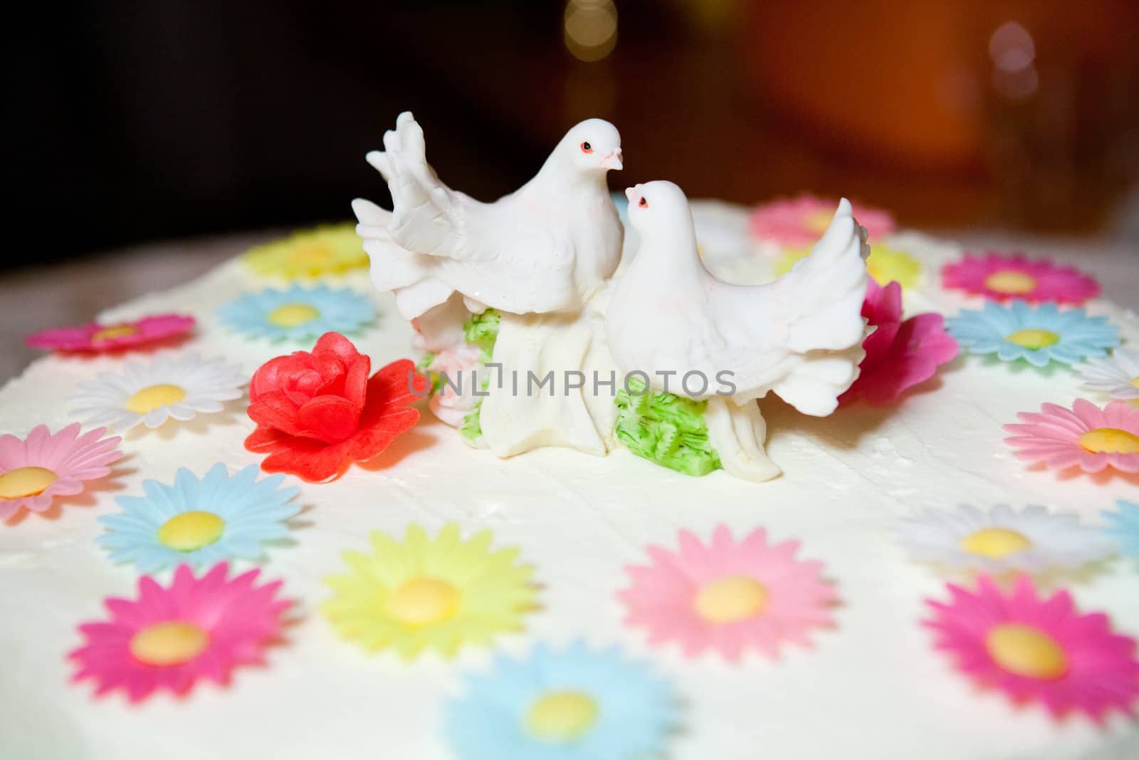 birds on the cake by vsurkov