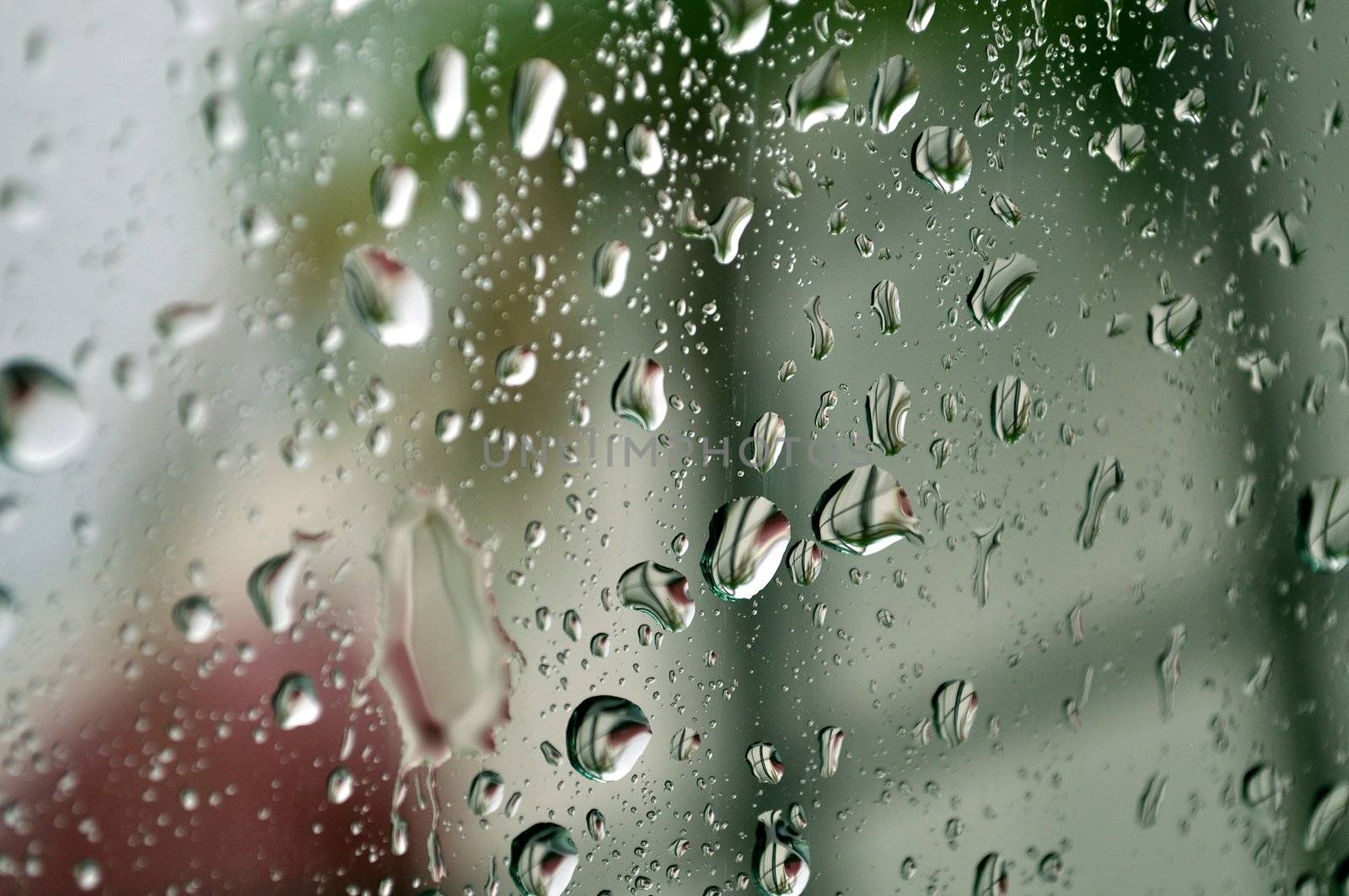 Raindrops cling to a car window after a brief shower.