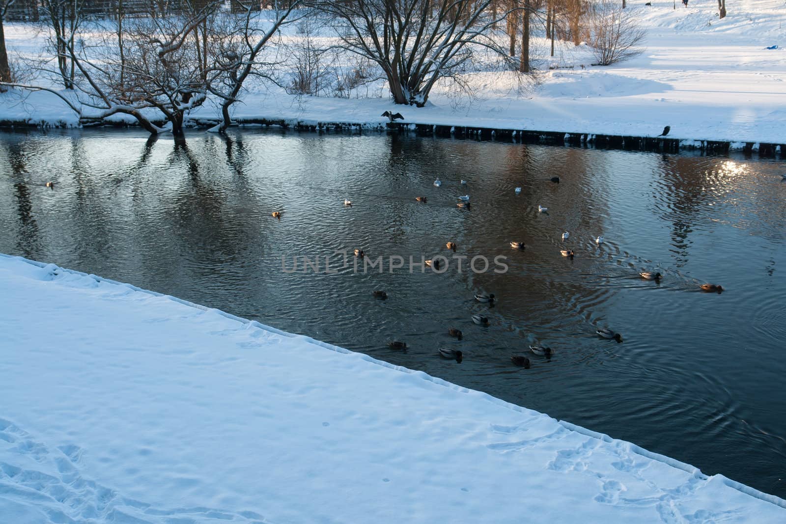 City park in the winter time - Odense the third largest city in Denmark