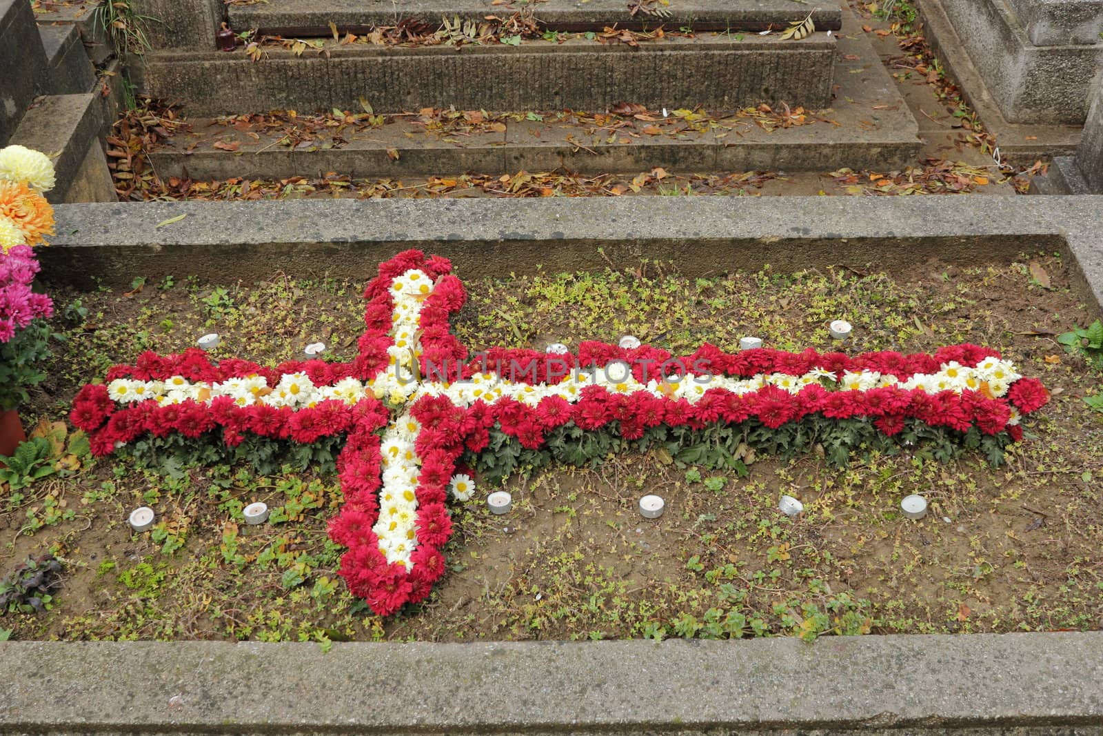 cross made with flowers by taviphoto