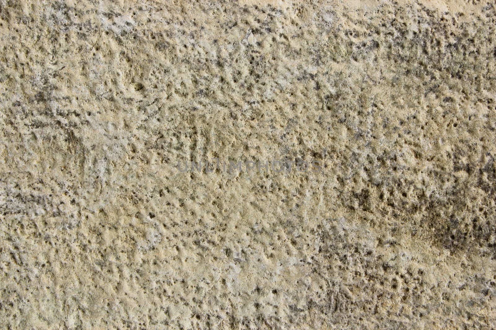 textured detail of a gravestone