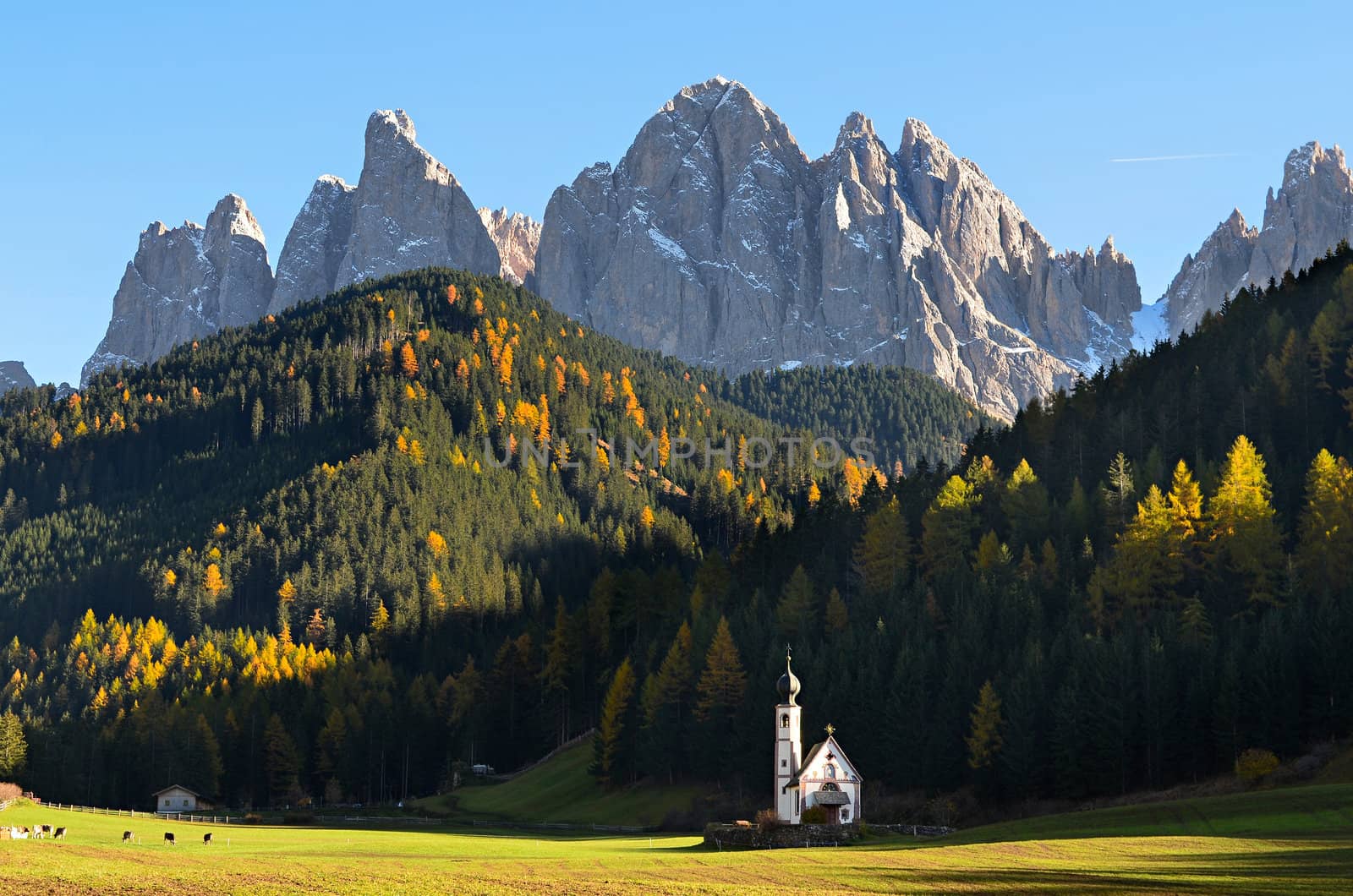 The famous church of San Giovanni in Ranui (Sankt Johann) in front of the Geisler or Odle dolomites mountain peaks in Santa Maddalena (Sankt Magdalena) in the Val di Funes in Italy.