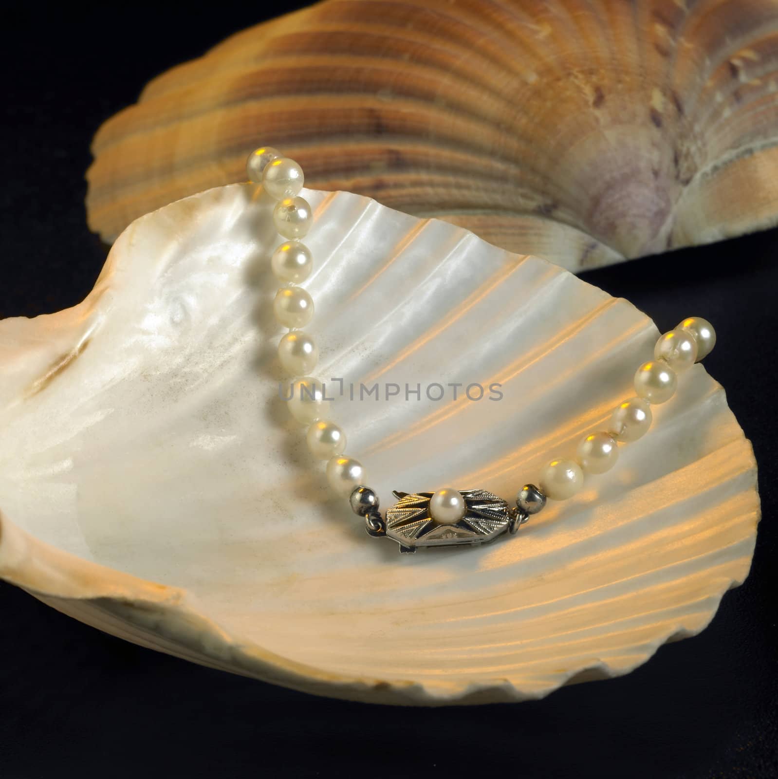 seashell and pearl necklace by gewoldi