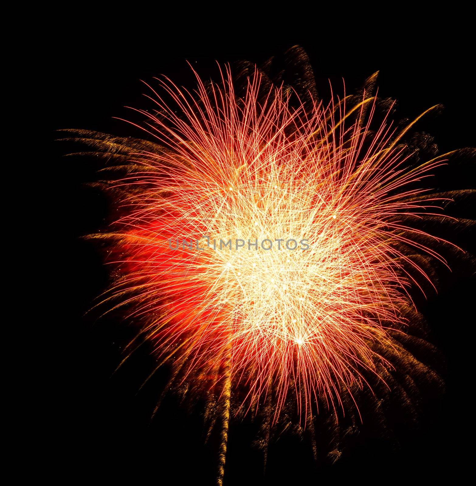 beautiful red firework in the black sky