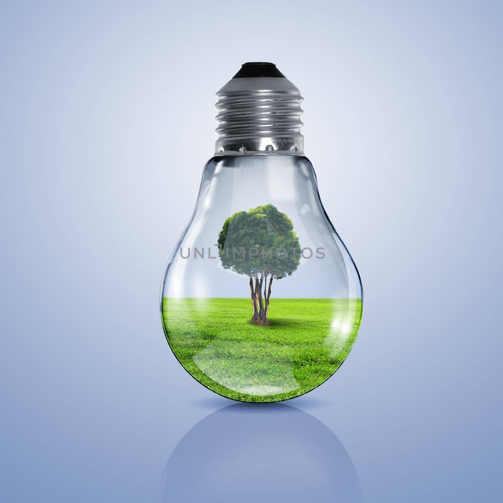 Electric light bulb and a plant inside it as symbol of green energy